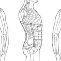 http://www.oandplibrary.org/al/images/1970_02_049/tmp649-2.jpg