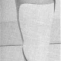 http://www.oandplibrary.org/cpo/images/1984_03_022/1984_03_022-2.jpg