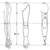 http://www.oandplibrary.org/al/images/1955_03_004/tmp482-4.jpg