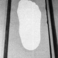 http://www.oandplibrary.org/cpo/images/1988_02_051/1988_02_051-4.jpg