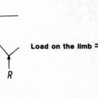 http://www.oandplibrary.org/cpo/images/1981_04_005/1981_04_005-08.jpg