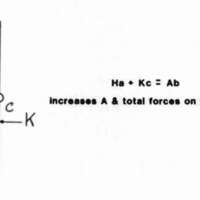 http://www.oandplibrary.org/cpo/images/1981_04_005/1981_04_005-05.jpg