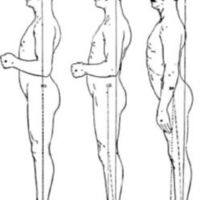 http://www.oandplibrary.org/al/images/1954_02_029/May-1954OCRBatch1-31.jpg