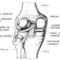 http://www.oandplibrary.org/al/images/1962_02_004/tmp623-01.jpg