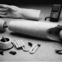 http://www.oandplibrary.org/cpo/images/1986_02_066/1986_02_066-07.jpg
