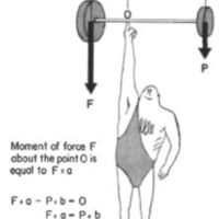 http://www.oandplibrary.org/al/images/1957_02_029/aut57c-005.jpg