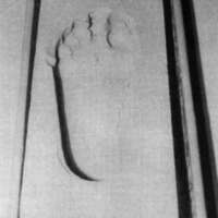 http://www.oandplibrary.org/cpo/images/1988_02_051/1988_02_051-3.jpg