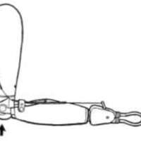 http://www.oandplibrary.org/al/images/1954_01_025/Jan54d-001.jpg