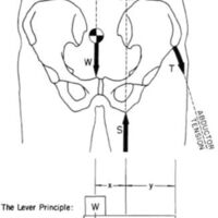 http://www.oandplibrary.org/al/images/1955_01_035/1955-JanuaryOCRBatchc-24.jpg
