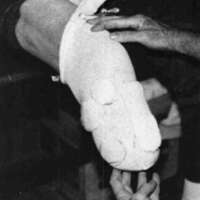 http://www.oandplibrary.org/cpo/images/1985_03_013/1985_03_013-02.jpg