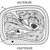 http://www.oandplibrary.org/al/images/1955_01_035/1955-JanuaryOCRBatchc-27.jpg