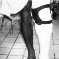 http://www.oandplibrary.org/cpo/images/1985_02_007/1985_02_007-07.jpg
