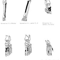 http://www.oandplibrary.org/al/images/1966_01_024/sp66c-008.jpg
