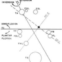 http://www.oandplibrary.org/al/images/1969_01_049/spring69-48.jpg