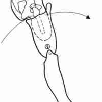 http://www.oandplibrary.org/cpo/images/1985_04_006/1985_04_006-4.jpg