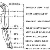 http://www.oandplibrary.org/al/images/1954_03_004/tmp1C6-07.jpg