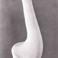http://www.oandplibrary.org/al/images/1971_01_027/1971_01_027-27.jpg