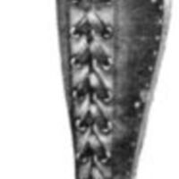 http://www.oandplibrary.org/al/images/1961_01_052/c002.jpg