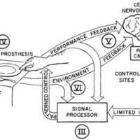 http://www.oandplibrary.org/al/images/1967_02_005/aut67-01.jpg
