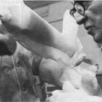 http://www.oandplibrary.org/cpo/images/1977_04_004/1978_04_005-1.jpg