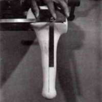 http://www.oandplibrary.org/al/images/1971_01_027/1971_01_027-18.jpg
