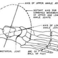 http://www.oandplibrary.org/al/images/1969_01_049/spring69-47.jpg