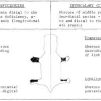 http://www.oandplibrary.org/al/images/1966_01_024/sp66c-001.jpg