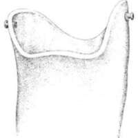 http://www.oandplibrary.org/al/images/1962_02_004/tmp623-17.jpg