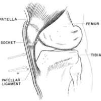 http://www.oandplibrary.org/al/images/1962_02_004/tmp623-12.jpg
