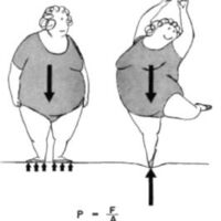 http://www.oandplibrary.org/al/images/1957_02_029/aut57c-003.jpg