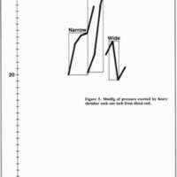 http://www.oandplibrary.org/cpo/images/1987_01_020/1987_01_020-08.jpg
