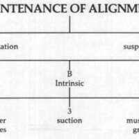 http://www.oandplibrary.org/cpo/images/1978_02_002/1978_02_002-5.jpg