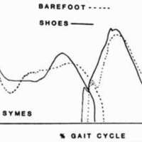 http://www.oandplibrary.org/cpo/images/1985_03_018/1985_03_017-4.jpg