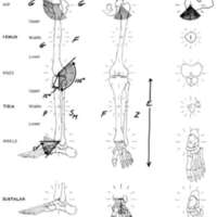 http://www.oandplibrary.org/al/images/1970_02_068/tmp64B-08.jpg