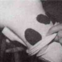 http://www.oandplibrary.org/al/images/1971_01_001/1971_01_001-12.jpg