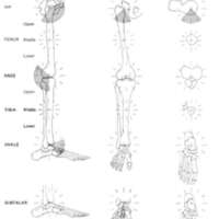 http://www.oandplibrary.org/al/images/1970_02_068/tmp64B-02.jpg