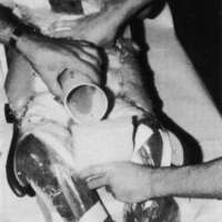 http://www.oandplibrary.org/cpo/images/1987_01_049/1987_01_049-06.jpg