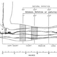 http://www.oandplibrary.org/al/images/1955_03_004/tmp482-17.jpg