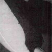 http://www.oandplibrary.org/al/images/1971_01_001/1971_01_001-06.jpg