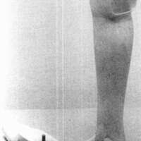 http://www.oandplibrary.org/cpo/images/1988_01_041/1988_01_041-3.jpg