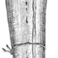 http://www.oandplibrary.org/al/images/1961_01_052/c015.jpg