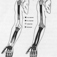 http://www.oandplibrary.org/al/images/1954_03_004/fig1A.jpg