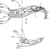 http://www.oandplibrary.org/al/images/1955_02_022/1955-MayOCRBatch-21.jpg