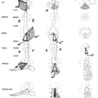 http://www.oandplibrary.org/al/images/1970_02_068/tmp64B-11.jpg