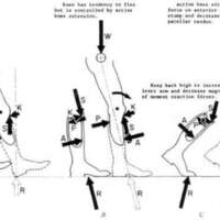 http://www.oandplibrary.org/al/images/1962_02_016/tmp624-6.jpg