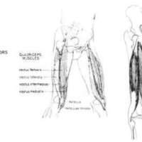http://www.oandplibrary.org/al/images/1962_02_004/tmp623-02.jpg