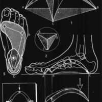 http://www.oandplibrary.org/cpo/images/1986_01_008/1986_01_008-02.jpg