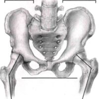 http://www.oandplibrary.org/al/images/1955_01_004/1955-JanuaryOCRBatchc-18.jpg