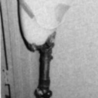 http://www.oandplibrary.org/cpo/images/1986_02_090/1986_02_090-1.jpg
