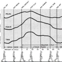 http://www.oandplibrary.org/al/images/1955_01_004/1955-JanuaryOCRBatchc-07.jpg